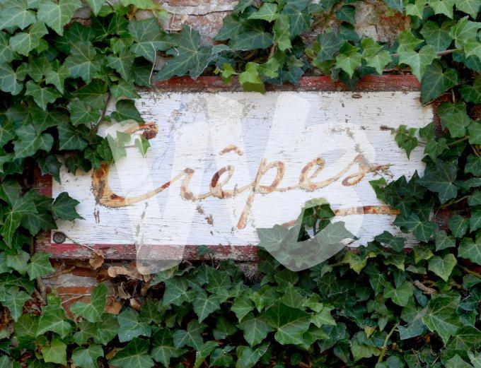 vvbvanbree P1120469 kopiëren