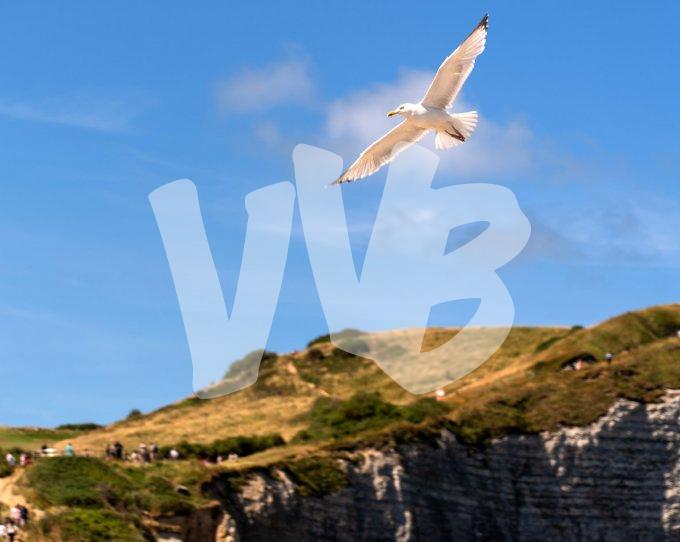 vvbvanbree Etretat      678 