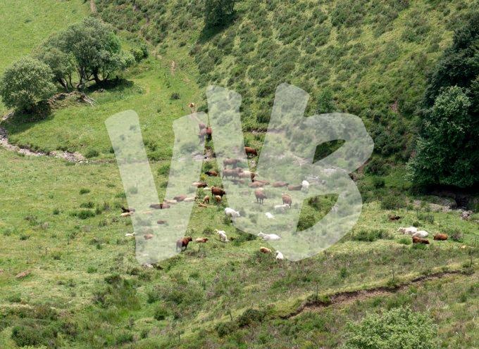 vvbvanbree Puy de Dome722 kopiëren