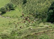 vvbvanbree Puy de Dome722 kopiëren
