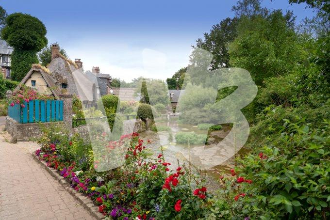 vvbvanbree  Veux les Roses 667