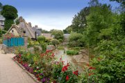 vvbvanbree  Veux les Roses 667