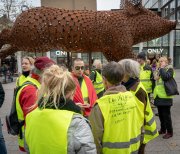 ©vvbvanbree Gele hesjes in Nijmegen  _15 kopiëren