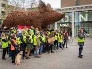 ©vvbvanbree Gele hesjes in Nijmegen  _9 kopiëren