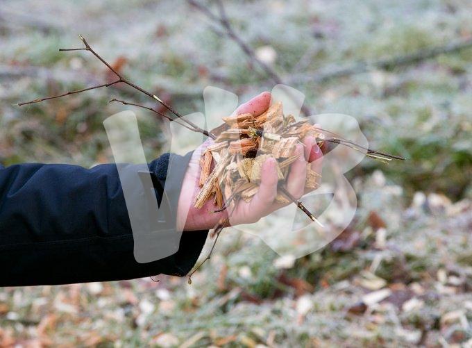 ©vvbvanbree warmtebedrijf ede  1424 kopiëren