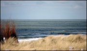 zeeland ©vvbvanbree  1474 kopiëren
