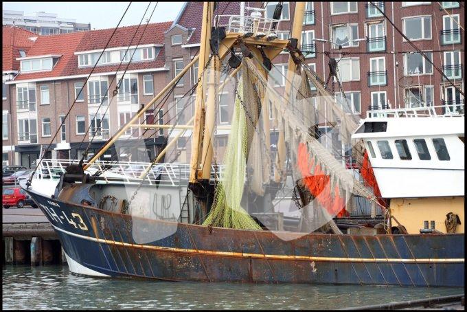Den Haag  1569 kopiëren