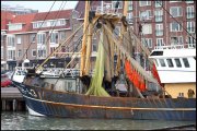 Den Haag  1569 kopiëren