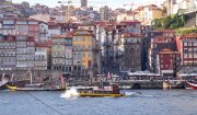 vvbvanbree porto    1831 kopiëren