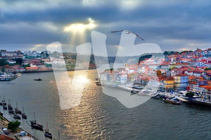 vvbvanbree porto    1859 kopiëren