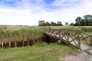 vvbvanbree Denemarken 2019   2810 kopiëren