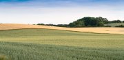 vvbvanbree Denemarken 2019   2819 kopiëren