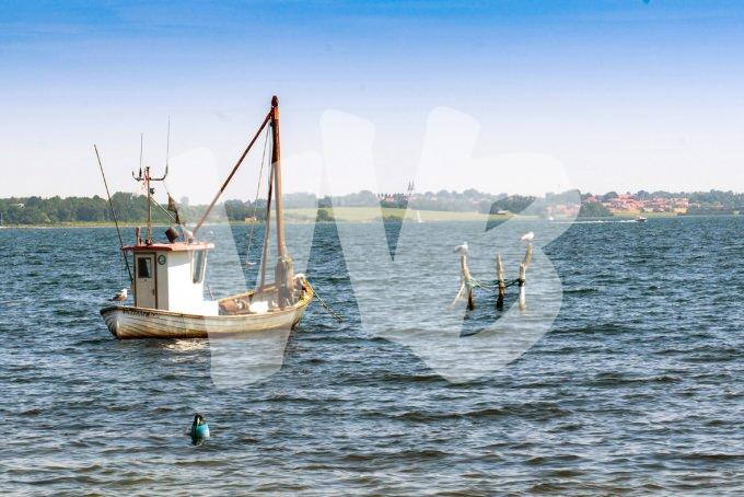 vvbvanbree Denemarken 2019   2831 kopiëren