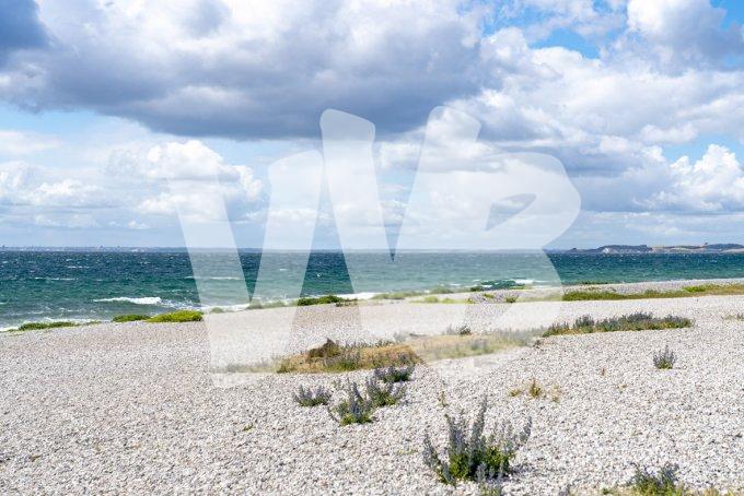 vvbvanbree Denemarken 2019   2835 kopiëren