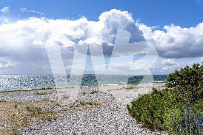 vvbvanbree Denemarken 2019   2836 kopiëren
