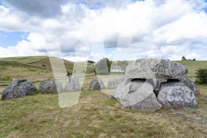 vvbvanbree Denemarken 2019   2838 kopiëren