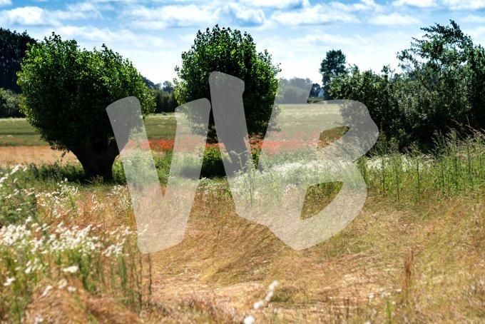 vvbvanbree Denemarken 2019   2866 kopiëren