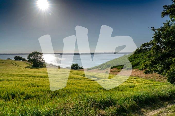 vvbvanbree Denemarken 2019   2948 kopiëren