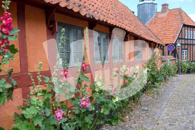 vvbvanbree Denemarken 2019   2976 kopiëren