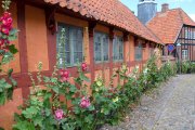 vvbvanbree Denemarken 2019   2976 kopiëren