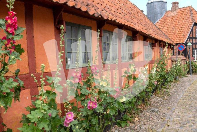 vvbvanbree Denemarken 2019   2977 kopiëren