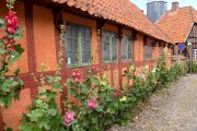 vvbvanbree Denemarken 2019   2977 kopiëren