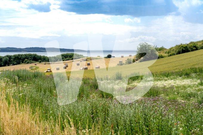 vvbvanbree Denemarken 2019   3052 kopiëren