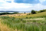 vvbvanbree Denemarken 2019   3052 kopiëren