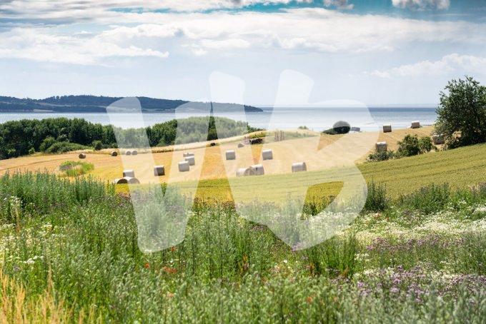vvbvanbree Denemarken 2019   3053 kopiëren