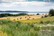 vvbvanbree Denemarken 2019   3053 kopiëren
