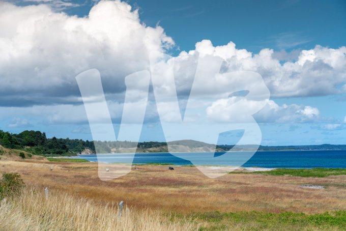 vvbvanbree Denemarken 2019   3055 kopiëren