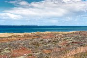 vvbvanbree Denemarken 2019   3060 kopiëren