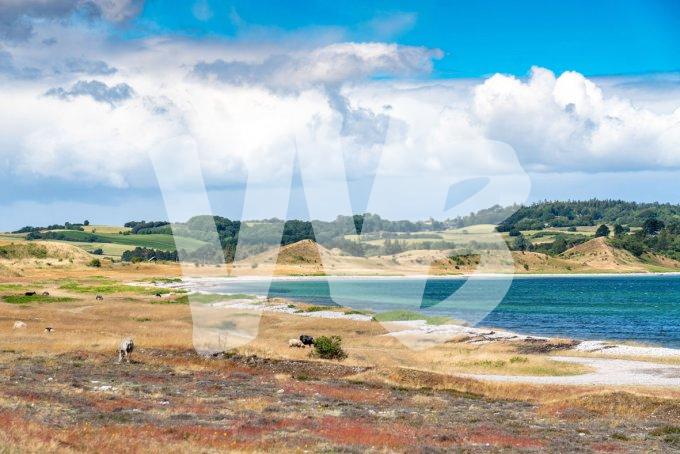 vvbvanbree Denemarken 2019   3068 kopiëren