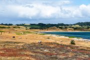 vvbvanbree Denemarken 2019   3070 kopiëren