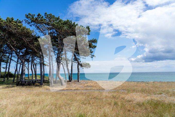 vvbvanbree Denemarken 2019   3077 kopiëren