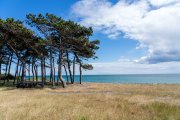 vvbvanbree Denemarken 2019   3077 kopiëren