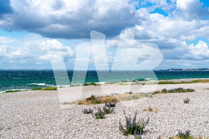 vvbvanbree Denemarken 2019   3079 kopiëren