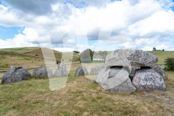 vvbvanbree Denemarken 2019   3082 kopiëren