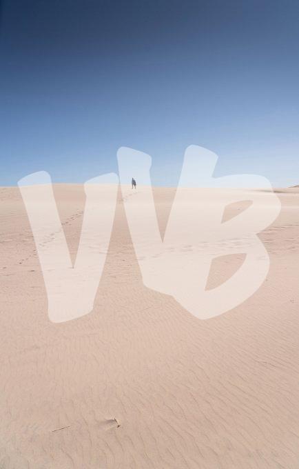 vvbvanbree Denemarken   3430 kopiëren
