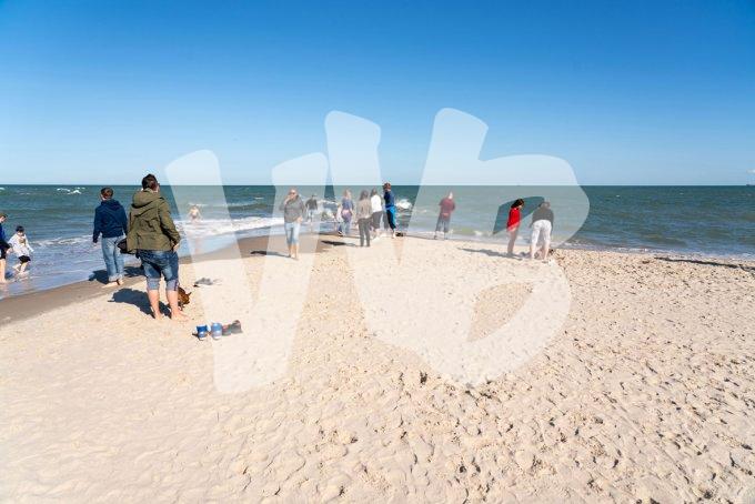 vvbvanbree Denemarken   3445 kopiëren