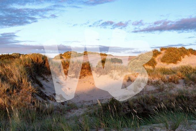 vvbvanbree Denemarken   3492 kopiëren