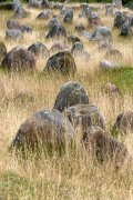 vvbvanbree Denemarken   3517 kopiëren