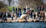 vvbvanbree kopenhagen     3555 kopiëren