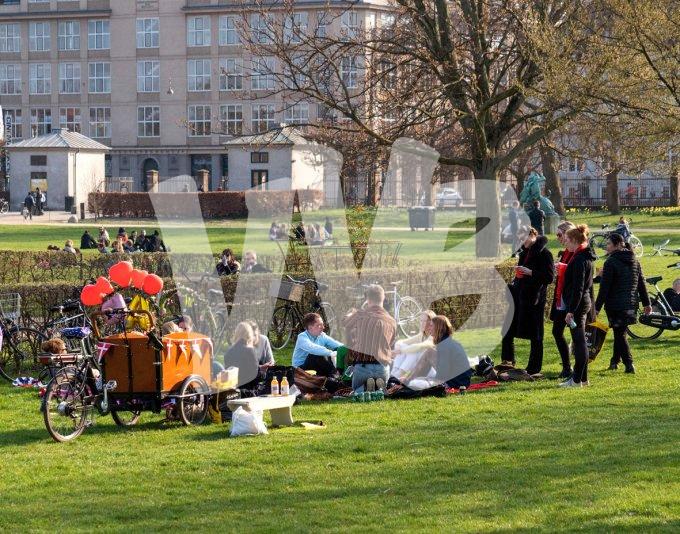 vvbvanbree kopenhagen     3576 kopiëren