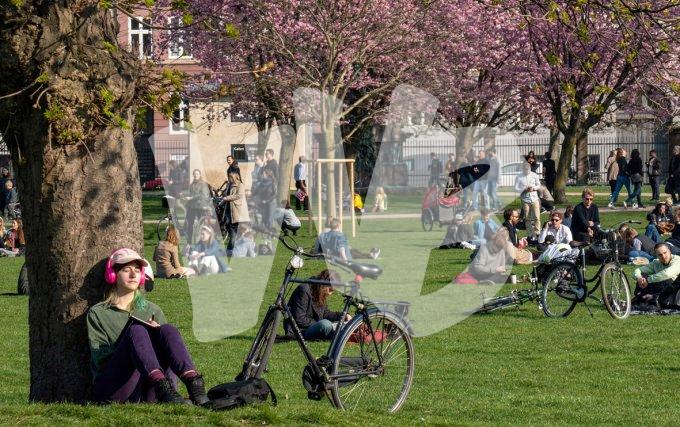 vvbvanbree kopenhagen     3577 kopiëren