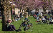 vvbvanbree kopenhagen     3577 kopiëren