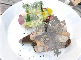 vvbvanbree kopenhagen     3590 kopiëren