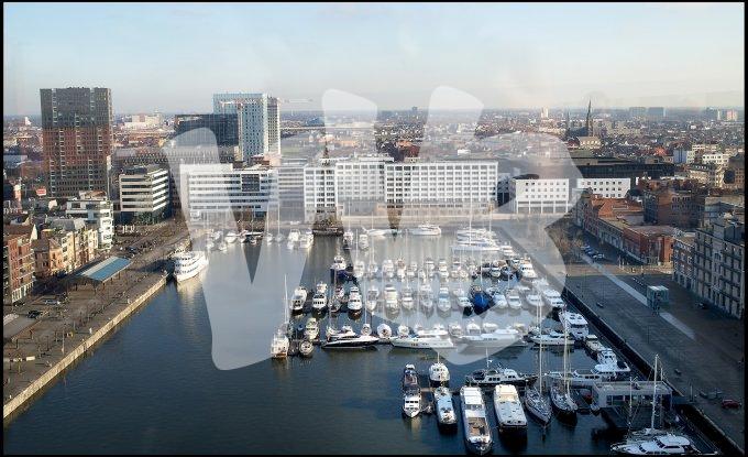 Antwerpen vvbvanbree 3631