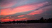 Antwerpen vvbvanbree 3640