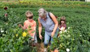 zelfpluktuin vvbvanbree 3600 